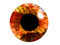 Eye Lens PNG Image HD