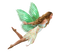 Fairy PNG File