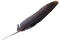 Feather Download PNG