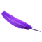 Feather PNG Clipart