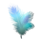 Feather PNG