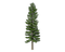 Fir-Tree PNG File