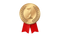 First Place Medal