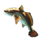 Fish PNG 13