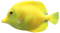 Fish PNG 15