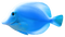 Fish PNG 2