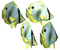 Fish PNG 3