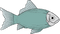 Fish PNG