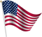 Flag Day Free Download PNG