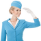 Flight Attendant PNG Image