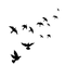 Flock Of Flying Bird PNG Free Image