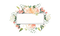 Floral Frame PNG Clipart