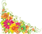 Floral PNG Image