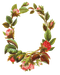 Flower Frame PNG Free Image