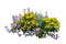 Flower Garden PNG Images