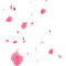 Flower Petals PNG File