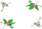 Flowers Borders Free Download PNG