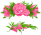 Flowers Borders Free PNG Image