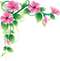 Flowers Borders High-Quality PNG