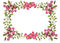 Flowers Borders PNG Clipart