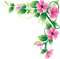 Flowers Borders PNG Image