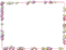 Flowers Borders PNG Pic