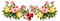 Flowers PNG 3