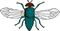 Fly PNG 9