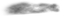 Fog PNG Clipart