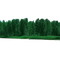 Forest Free Download PNG