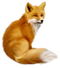 Fox PNG 10