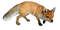 Fox PNG 11