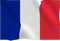 France Flag PNG