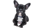 French Bulldog PNG File