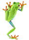 Frog PNG 4