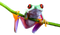 Frog PNG 6