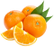 Fruit Free PNG Image