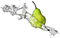 Fruit Water Splash PNG File