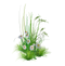 Garden PNG File