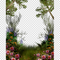 Garden PNG Transparent HD Photo