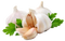 Garlic PNG Image