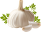 Garlic PNG