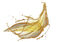 Gas PNG Image HD