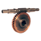 Gear Wheel PNG Image