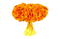 Giant Nuclear Explosion PNG Image