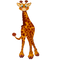 Giraffe PNG Image