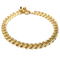 Gold Dog Chain PNG Free Download