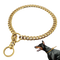 Gold Dog Chain PNG