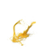 Golden Liquid PNG Pic