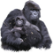 Gorilla PNG Clipart